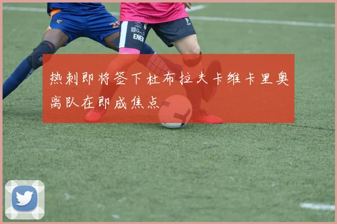 热刺即将签下杜布拉夫卡维卡里奥离队在即成焦点